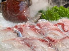 -港升鱼师傅·中山脆肉鲩