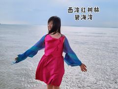 -宝安西湾红树林湿地公园