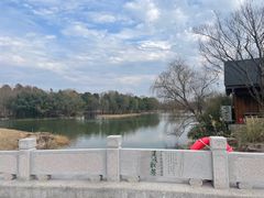 -梁鸿国家湿地公园