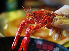 -红钳侠小龙虾·烧烤(中赢康康谷店)