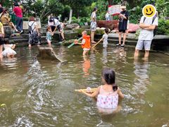 -成都市活水公园