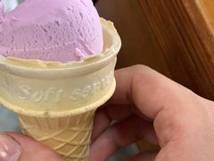 -素心斋素食餐厅