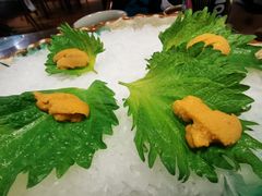 生海胆-万岛日本料理铁板烧(静安店)