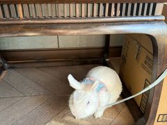 -金海华·华宴江南(斜塘店)