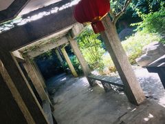 -金鸡山公园
