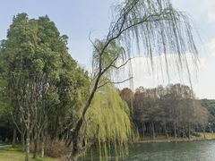 -尚贤河湿地