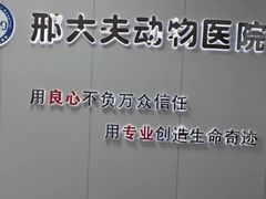 -邢大夫动物医院