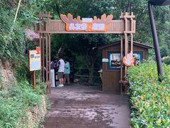 -杭州开元森泊度假乐园