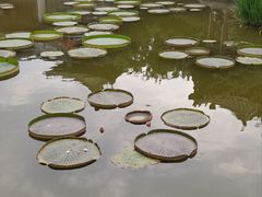-迎泽公园