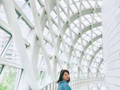 -凤凰中心