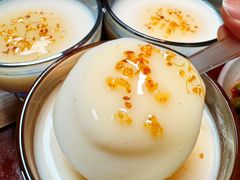 -鱼宴馆·家宴老字号淳鱼馆(千岛湖总店)