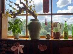 -鸟鹏烧鸟居酒屋(龙岗万科店)
