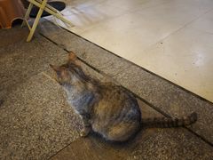 -鱼乐岛餐厅·户外花园主题餐厅
