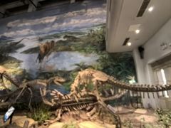 -自贡恐龙博物馆