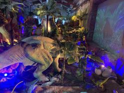 -恐龙探索乐园(磁器口店)