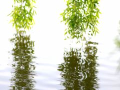 -杭州城北体育公园