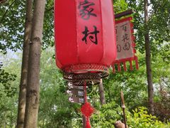 -合肥滨湖国家森林公园