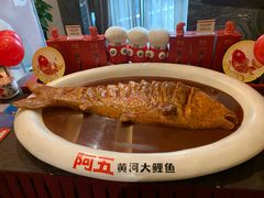 -阿五黄河大鲤鱼(纬三路店)