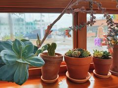 -AHAVA·Fang Baking Studio