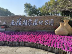 -西溪国家湿地公园