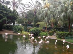 -澳洲牛奶公司(佐敦店)