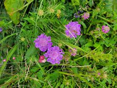 -白草畔自然风景区