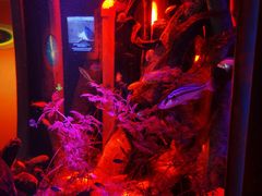 -沈阳海洋探索中心