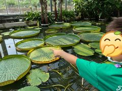 -国家植物园南园