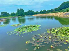 -上海辰山植物园