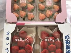 -油麻地果栏