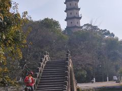 -江心屿景区
