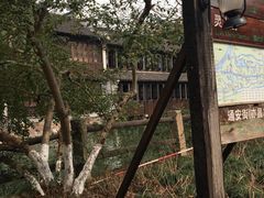 -乌镇西栅景区