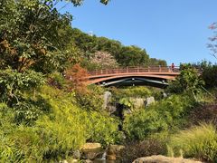 -云溪植物园
