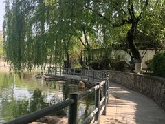 -莲湖公园
