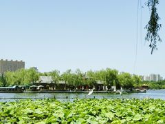 -济南大明湖景区