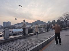-黑石礁公园