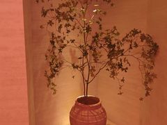 -舒小悦·舒养SPA·古法推拿(光环中心店)