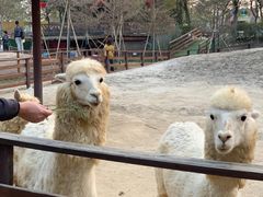 -盈香心动乐园