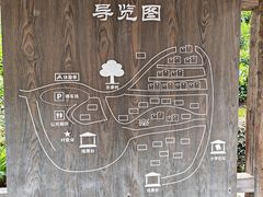 -杨家堂村