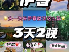 -汤旺河林海奇石景区