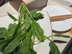 -海底捞火锅(劲松店)