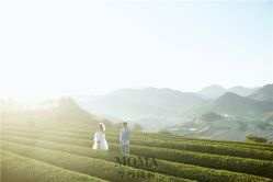 -摩玛婚纱摄影(杭州店)