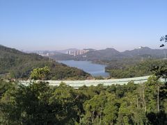 -深圳仙湖植物园