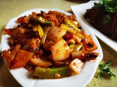 红烧驴蹄筋-敦煌达记酱驴肉黄面馆