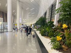 -郑州新郑国际机场