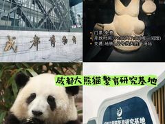 -天府广场