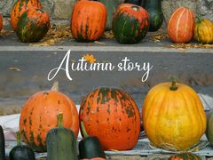 -九如山休闲旅游度假区