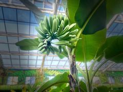 -观唐（国际）度假村温泉