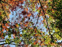 -杭州半山国家森林公园