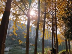 -杭州师范大学(下沙校区)